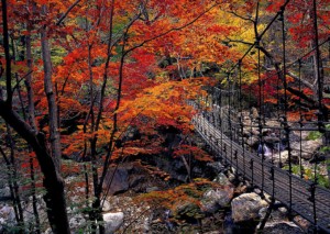 /home/haesungtour/www/data/editor/2210/20feb6409741766dfaede1316df2891c_1665449691_0814.jpg