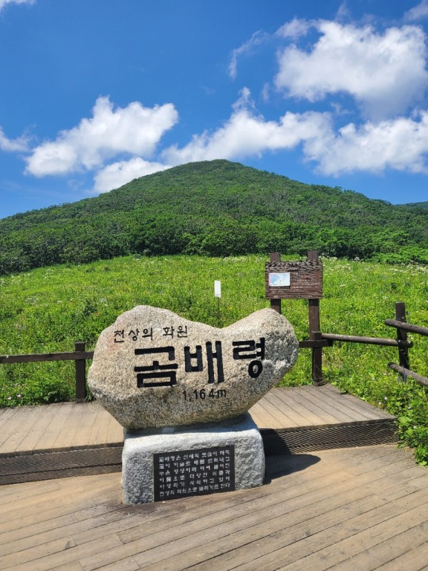 당일여행