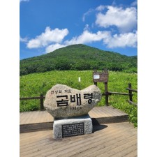 당일여행